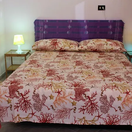Matis House, Historic Center, San Domenico Square Apartamento *